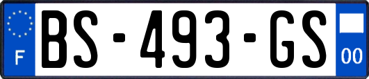 BS-493-GS