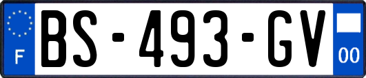 BS-493-GV