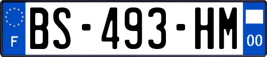 BS-493-HM