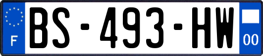 BS-493-HW