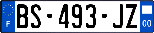 BS-493-JZ