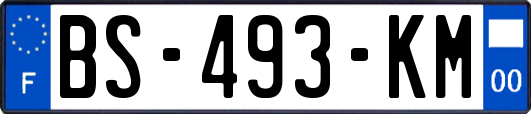 BS-493-KM