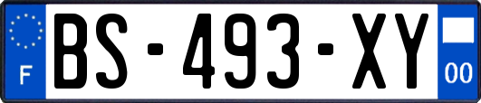 BS-493-XY