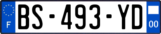 BS-493-YD