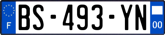 BS-493-YN