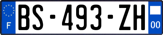 BS-493-ZH