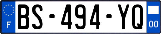 BS-494-YQ