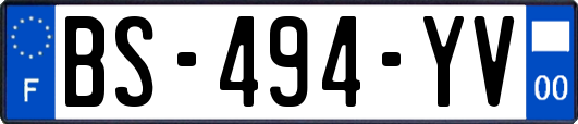 BS-494-YV