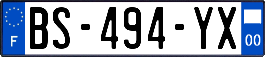 BS-494-YX