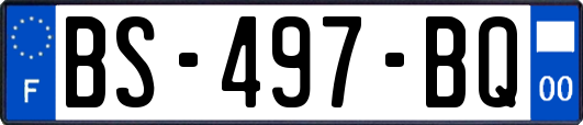 BS-497-BQ