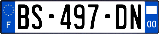 BS-497-DN