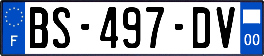 BS-497-DV