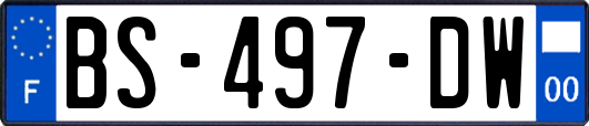 BS-497-DW