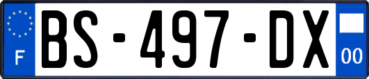 BS-497-DX
