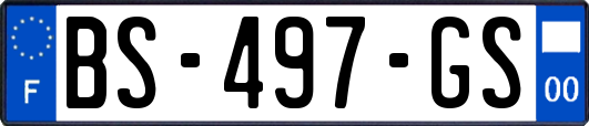 BS-497-GS