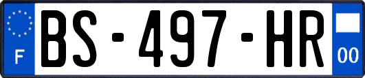 BS-497-HR