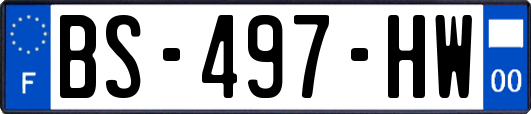 BS-497-HW