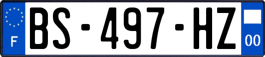 BS-497-HZ