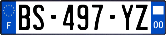 BS-497-YZ