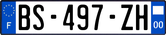 BS-497-ZH