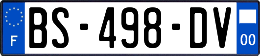 BS-498-DV