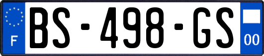 BS-498-GS