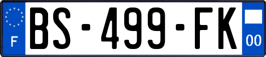 BS-499-FK