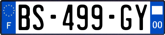 BS-499-GY