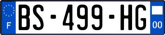 BS-499-HG