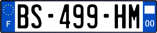 BS-499-HM