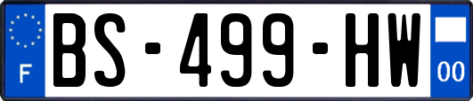 BS-499-HW