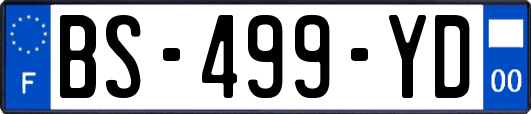 BS-499-YD
