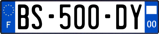 BS-500-DY