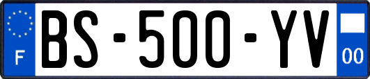BS-500-YV