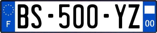 BS-500-YZ