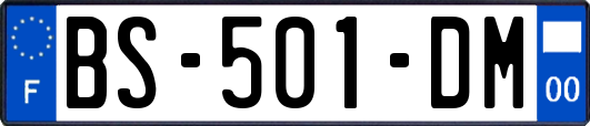 BS-501-DM
