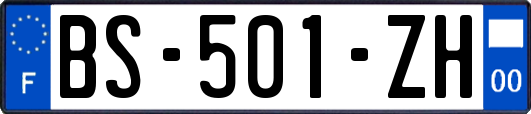BS-501-ZH