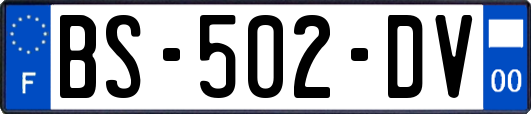 BS-502-DV