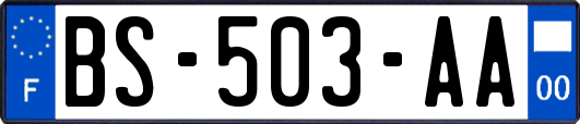 BS-503-AA