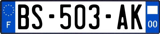 BS-503-AK