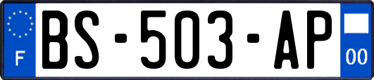 BS-503-AP