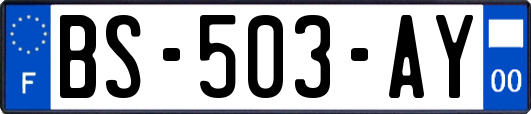 BS-503-AY