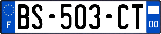 BS-503-CT