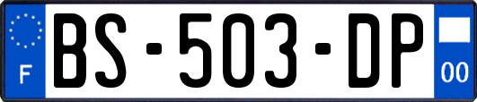 BS-503-DP