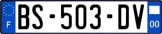 BS-503-DV