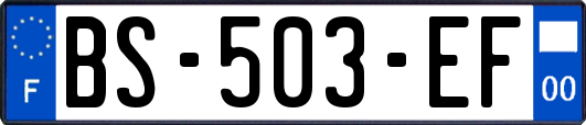 BS-503-EF