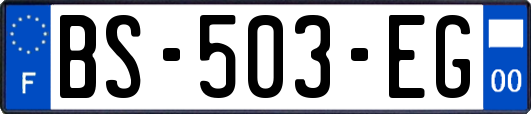 BS-503-EG