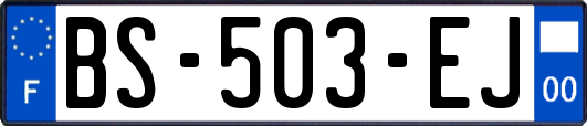 BS-503-EJ