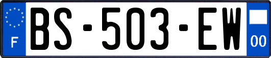 BS-503-EW