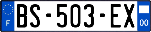 BS-503-EX